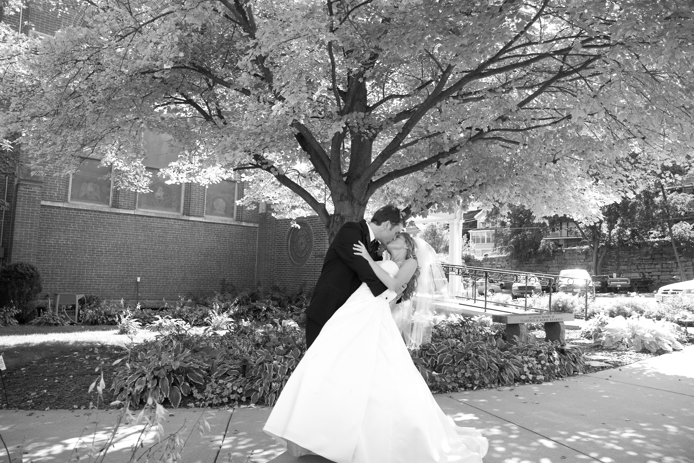 Misc Gallery — wedding photography by Kim Sinton